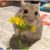 宮城名産の