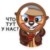 ЧТО ТУТ У НАС?