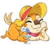 Chihuahua Chica 24