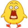 chick 5