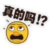 真的吗!?