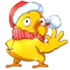 Chicken Chuu 5