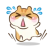 Chloe the hamster 5