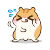Chloe the hamster 6