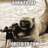 monke 6