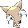 Chihuahuaji 6
