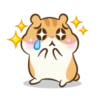 Chloe the hamster 7