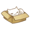Christmas Cat 7