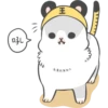 Machiko14 5