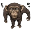 chimp 5