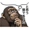 chimp 6