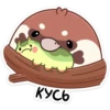 Кусь