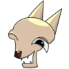 Chihuahuaji 8