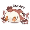 уже лечу
