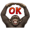 chimp 8