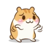 Chloe the hamster 12