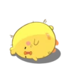 Chickeno Nyaaw 12
