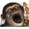 chimp 9