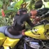 monke 14
