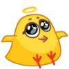 chick 13