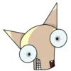 Chihuahuaji 10