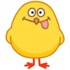 chick 14