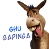 Ciuchino (in Shrek) 5