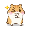 Chloe the hamster 13