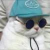 Christian's Cat Pack 16