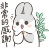 Machiko27 11