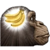 chimp 14