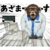 chimp 15