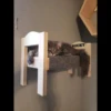 Christian's Cat Pack 18