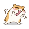 Chloe the hamster 15