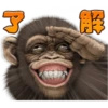 chimp 17