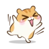 Chloe the hamster 16