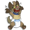 Cid Yote 16