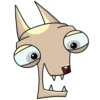 Chihuahuaji 12
