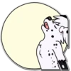 Chips The Dalmatian 10