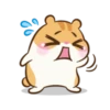 Chloe the hamster 17