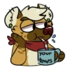 ChipYeen 24