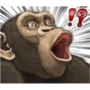 chimp 18