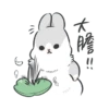 Machiko14 18