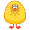 chick 21