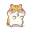 Chloe the hamster 20