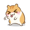 Chloe the hamster 21