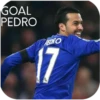 CHELSEA 16