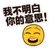 我不明白 你的意思!