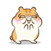 Chloe the hamster 24