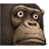 chimp 23